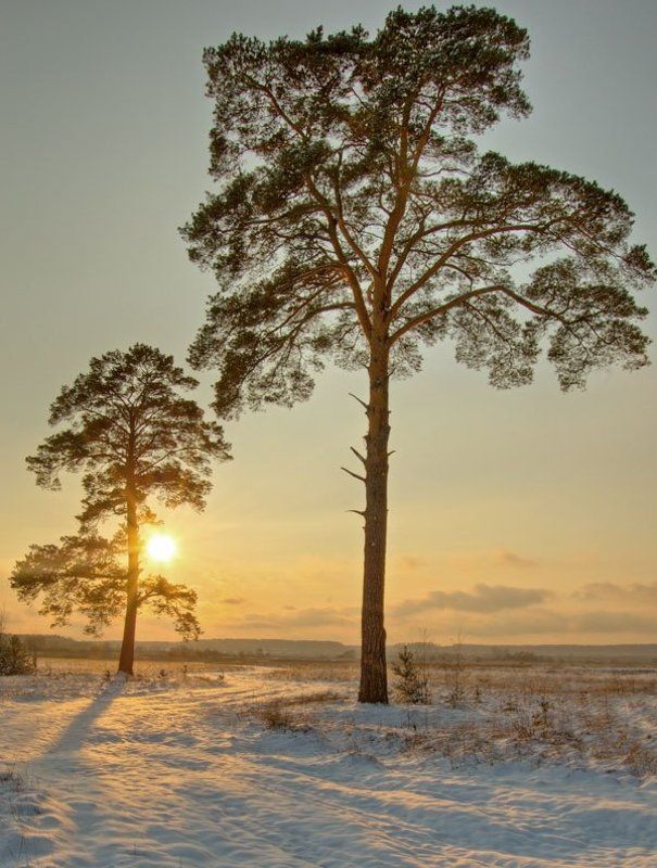 зимние зарисовкиphoto preview