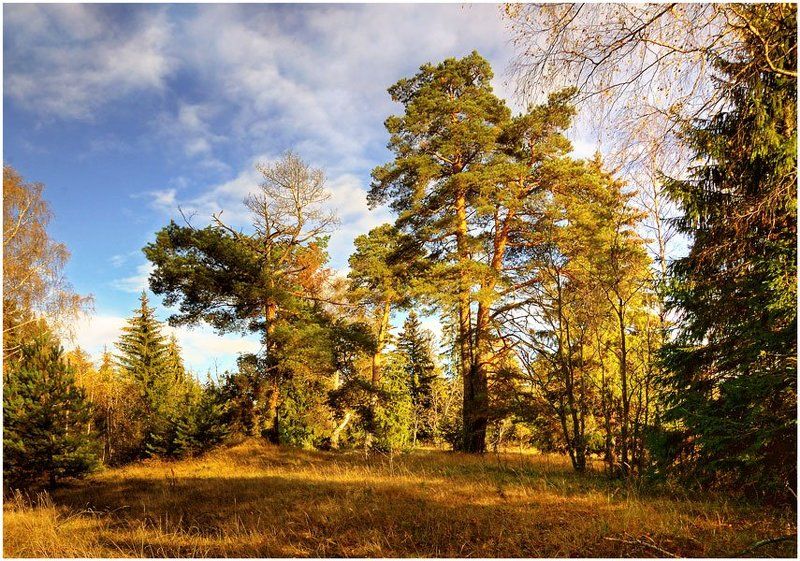 осенние зарисовкиphoto preview