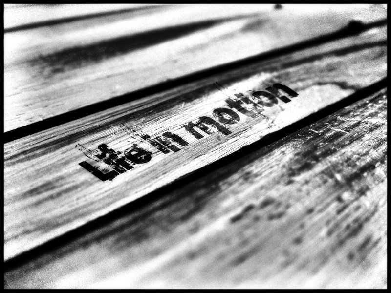 чб, макро .LiMphoto preview