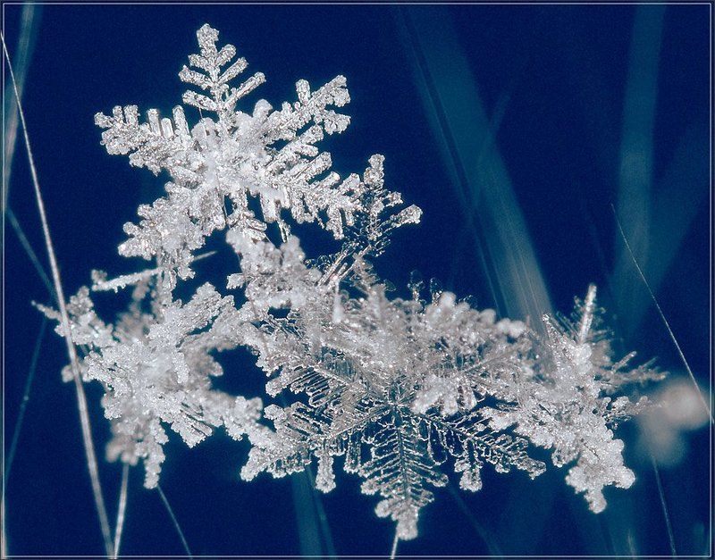 снежинки, мех Небесные гостиphoto preview