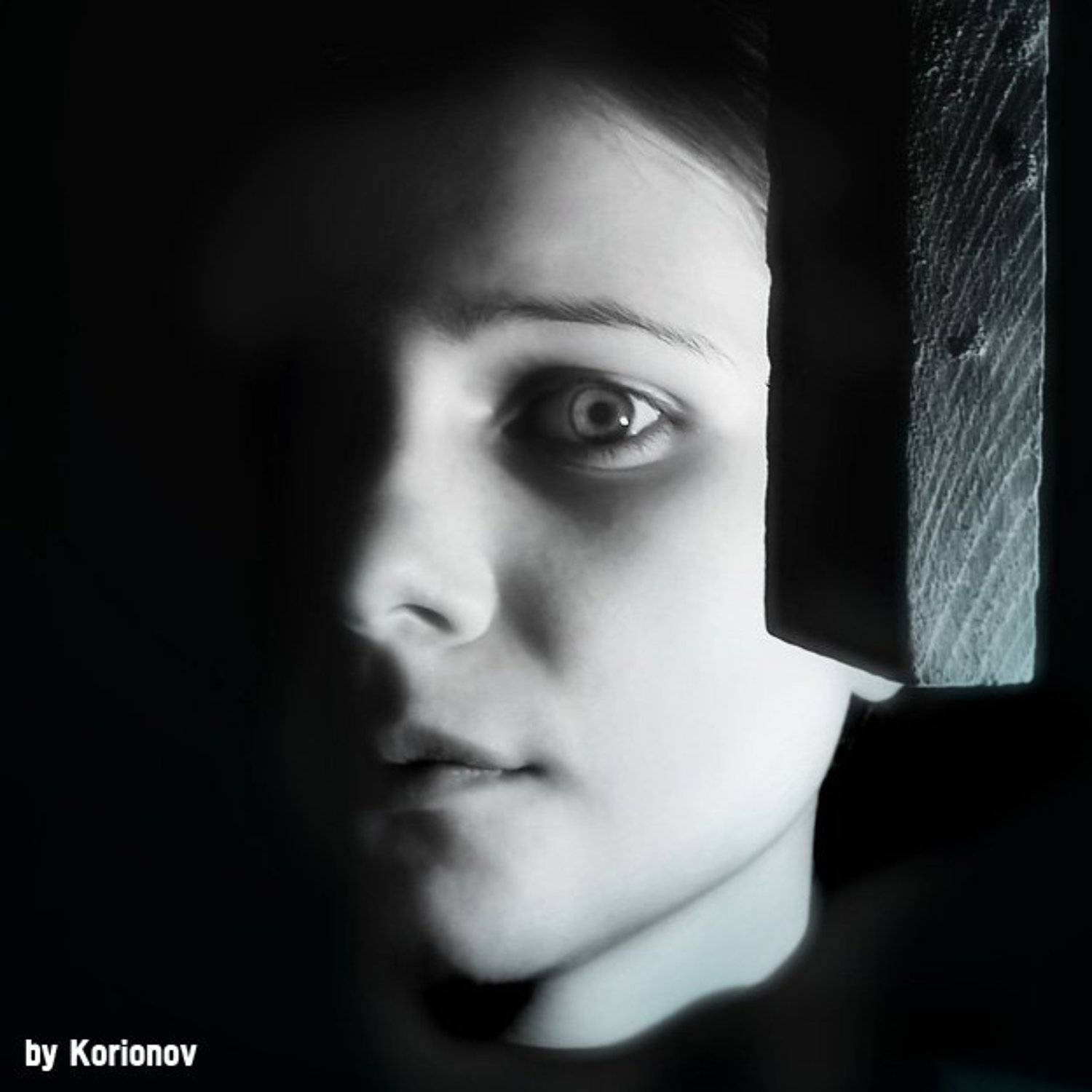 Луна луною кроет. Автор: Игорь Корионов , Игорь Корионов