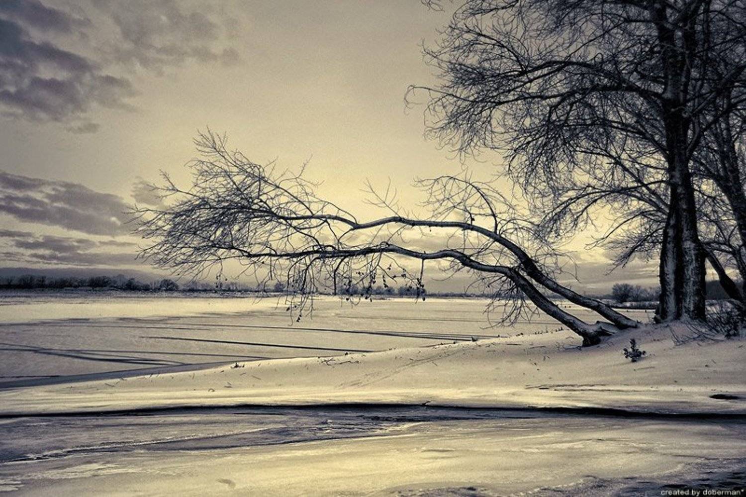 Закатно-графичная. Автор: Денис Богомолов , Денис Богомолов