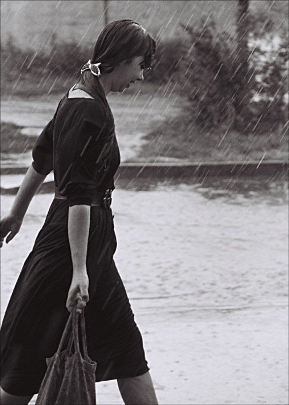 жанр Июльский дождьphoto preview