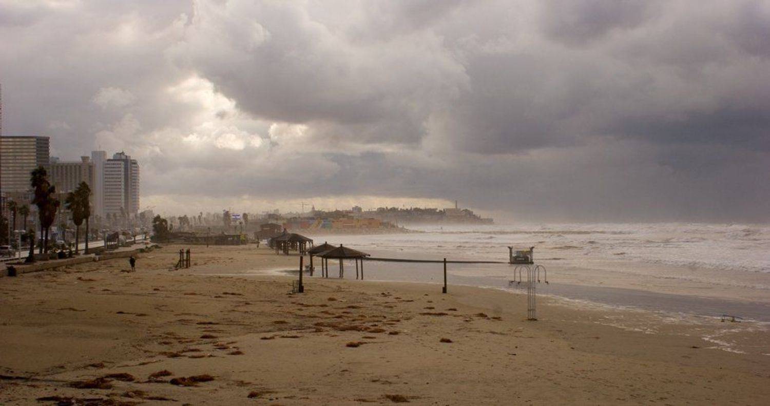 ***. Автор: IgalSc igalsc, IgalSc