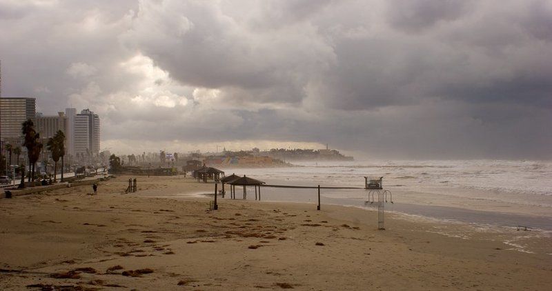 igalsc *** фото превью