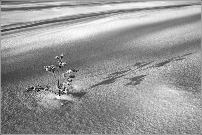 снеговые горы аша ***photo preview