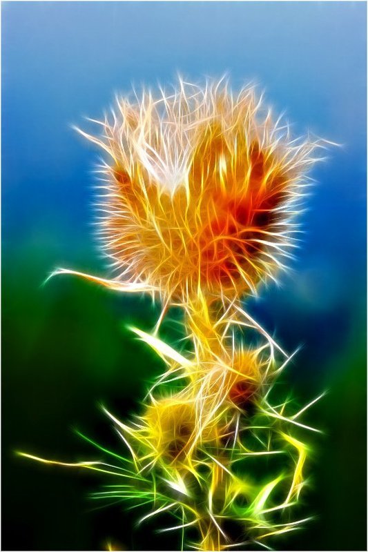 Светящаясяphoto preview