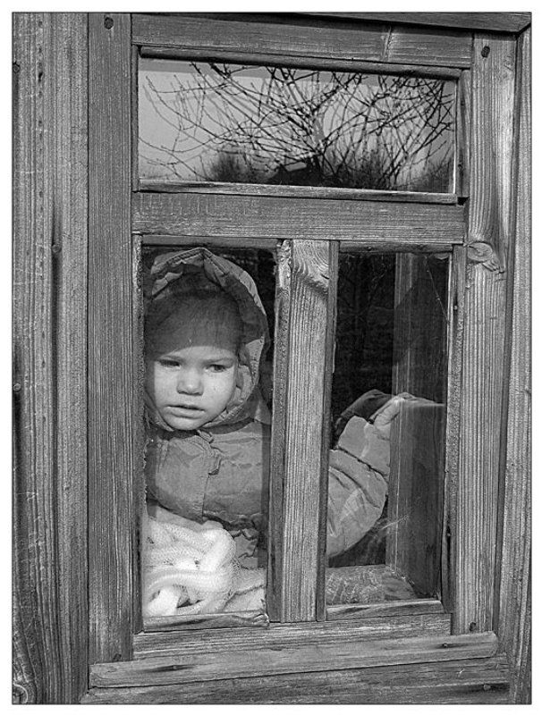 жанр, дети Ну дайте же погулять...photo preview