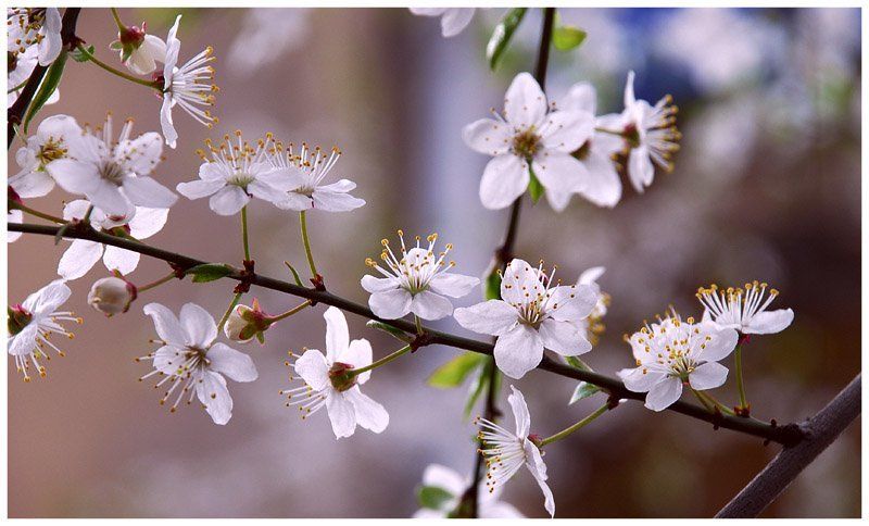 Немного из весеннегоphoto preview