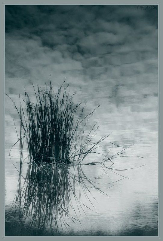 небо, вода, трава Лукоморья больше нет...photo preview