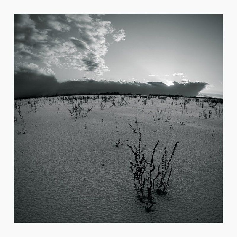 полем...photo preview