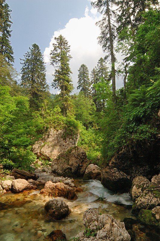 горы, река, пороги, нехоженные тропы там, на невидимых дорожках...photo preview