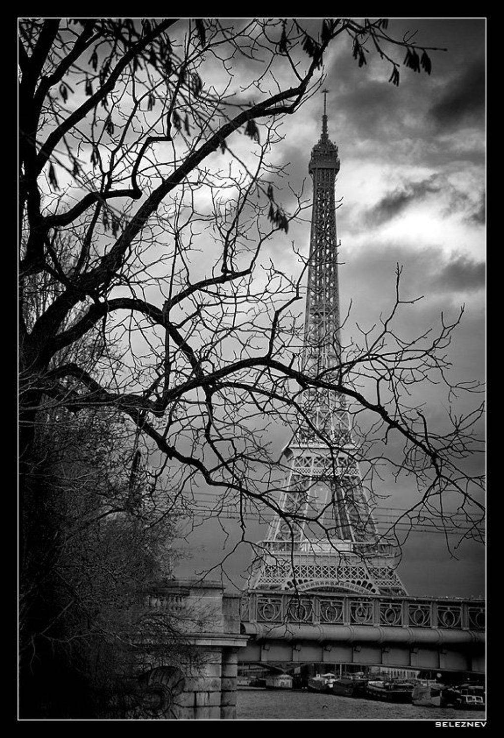 париж, башня, paris, tour eiffel, Алексей Селезнёв