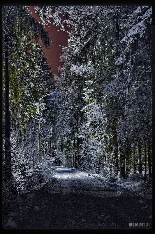 Сказочный Лес фото превью