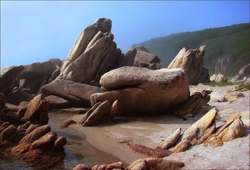 Окаменевшие фото превью