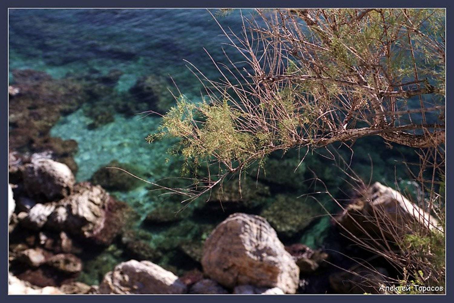 А внизу - море.... Автор: Алексей Тарасов греция, икария, море, Алексей Тарасов