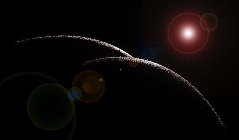 восход двойной луны блик Восход Двойной луныphoto preview