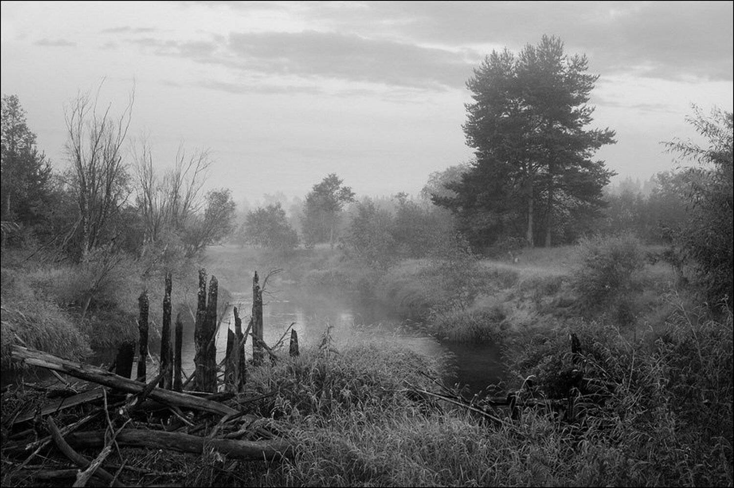 Поздневечерняя чб картинка с руинами моста и сосной вдали. Автор: Сергей Чубаров , Сергей Чубаров