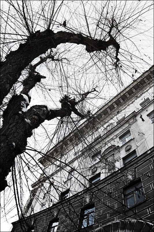 сталинка Сталинкаphoto preview