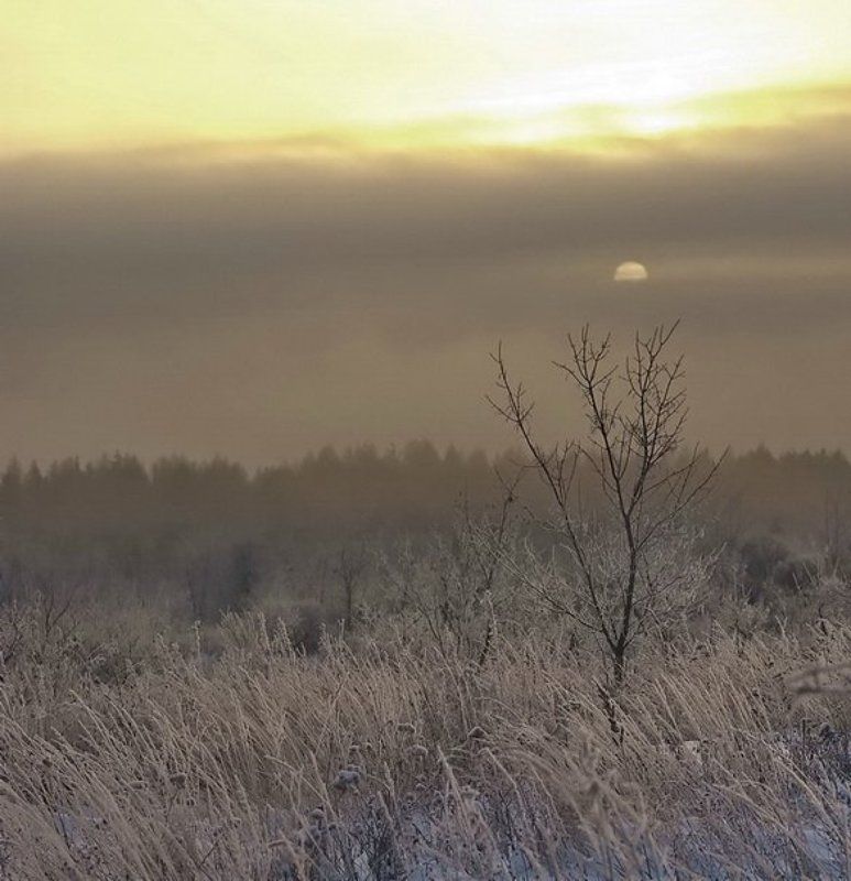 зимаphoto preview