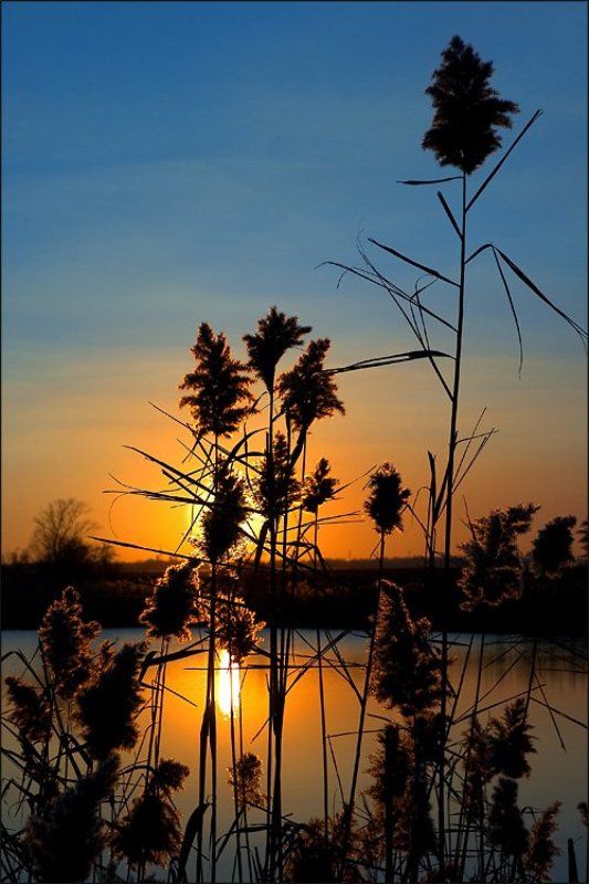 Отражение... фото превью