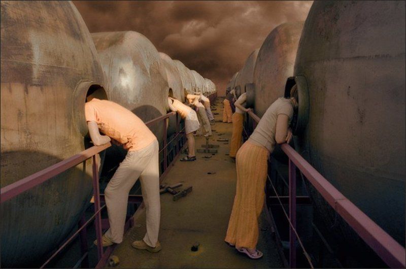 ферма, плюк, чатлане, оранжевые, штаны, 0210-24 Ферма на планете Плюкphoto preview