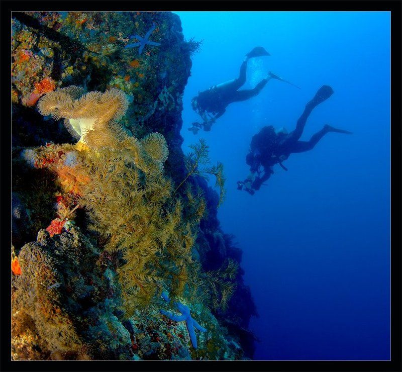 Синхронное плаваниеphoto preview