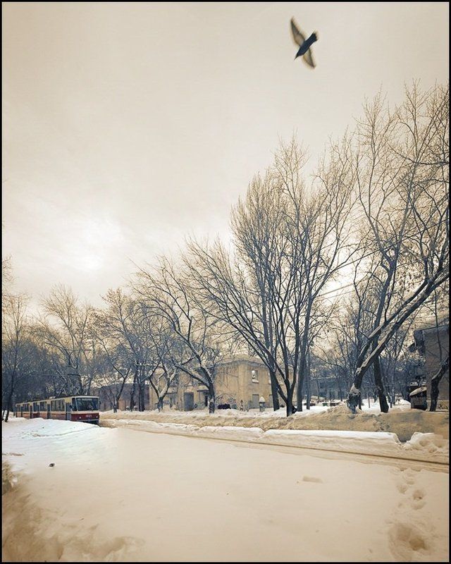 трамвай, дом, птица Трамвайphoto preview