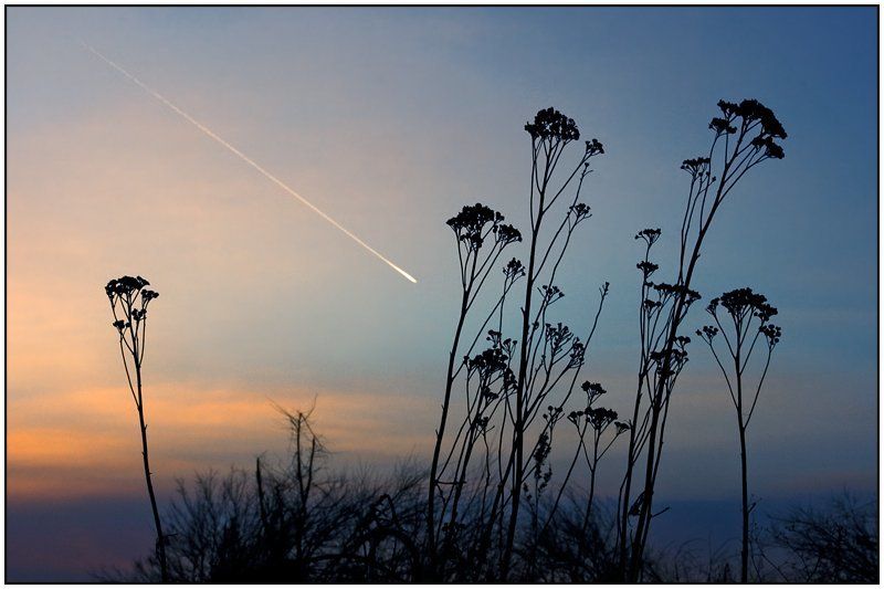 Natur_el фото превью
