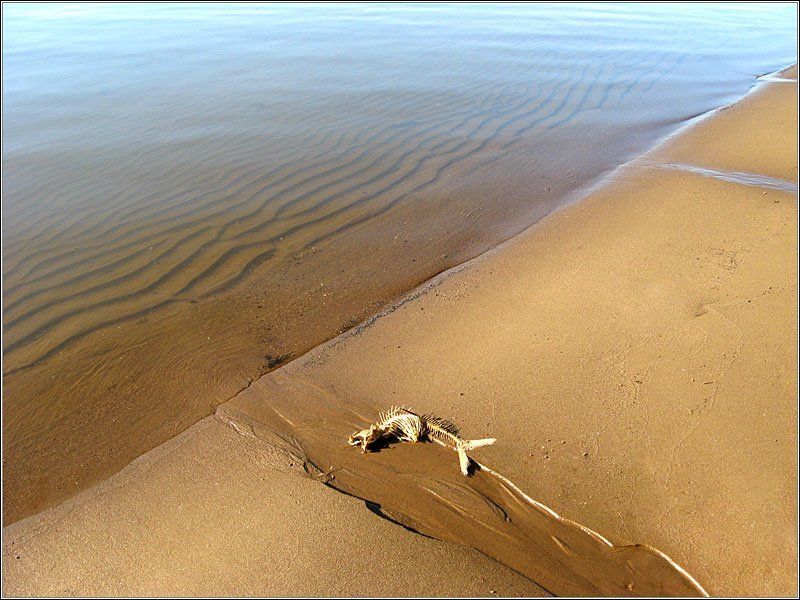 Отступлениеphoto preview