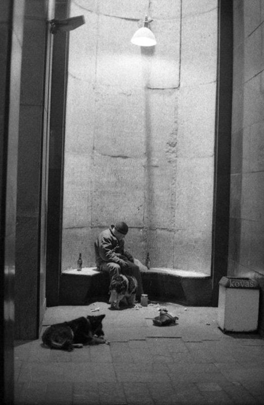 35мм, пленка, ч/б *** фото превью