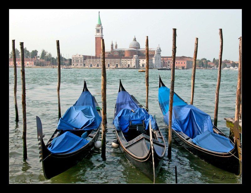 Le gondole venezianephoto preview