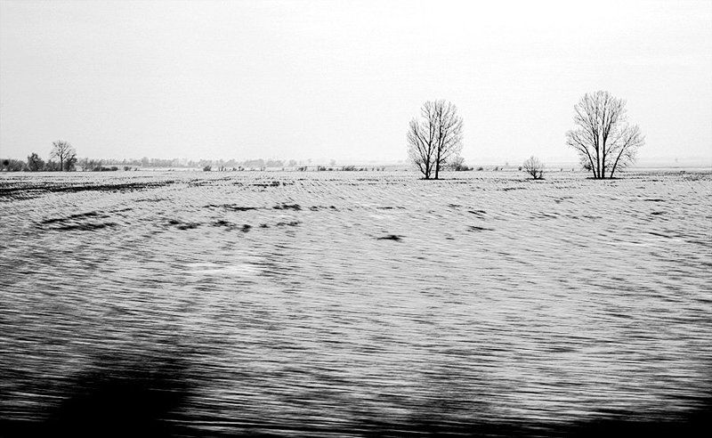 из окна поезда разphoto preview