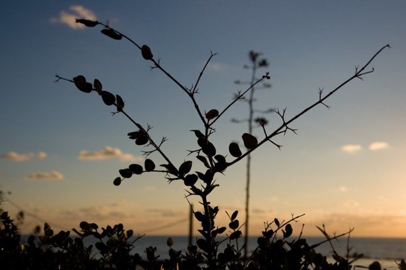 igalsc Зимняя зарисовка фото превью