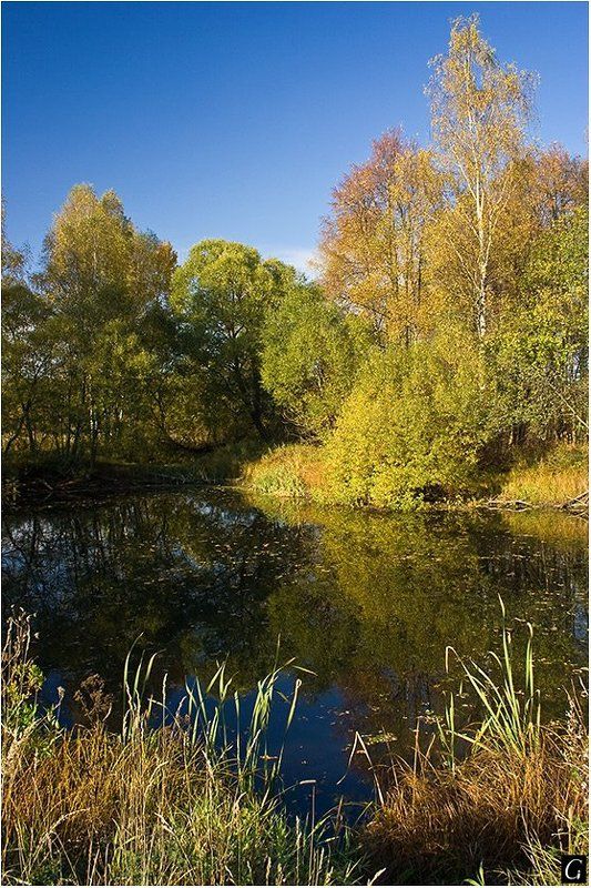 осень, золотая, новый, иерусалим, пруд Осеннее благоденствие.  2photo preview