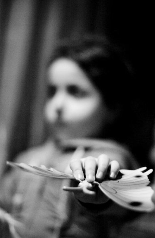 дети fly awayphoto preview