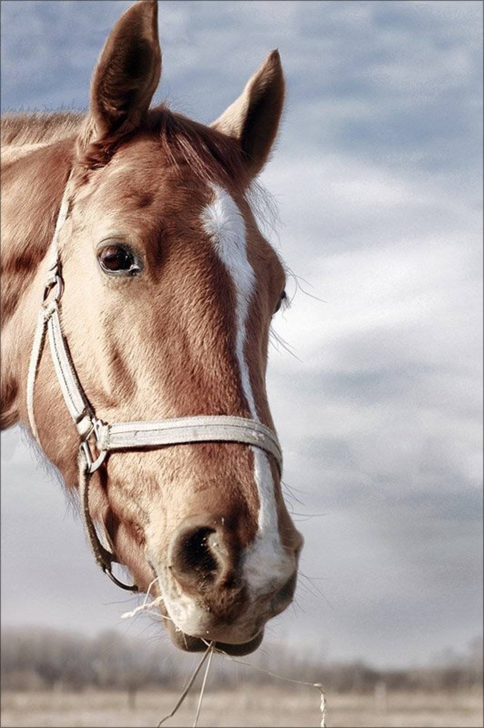 , Катерина Айку