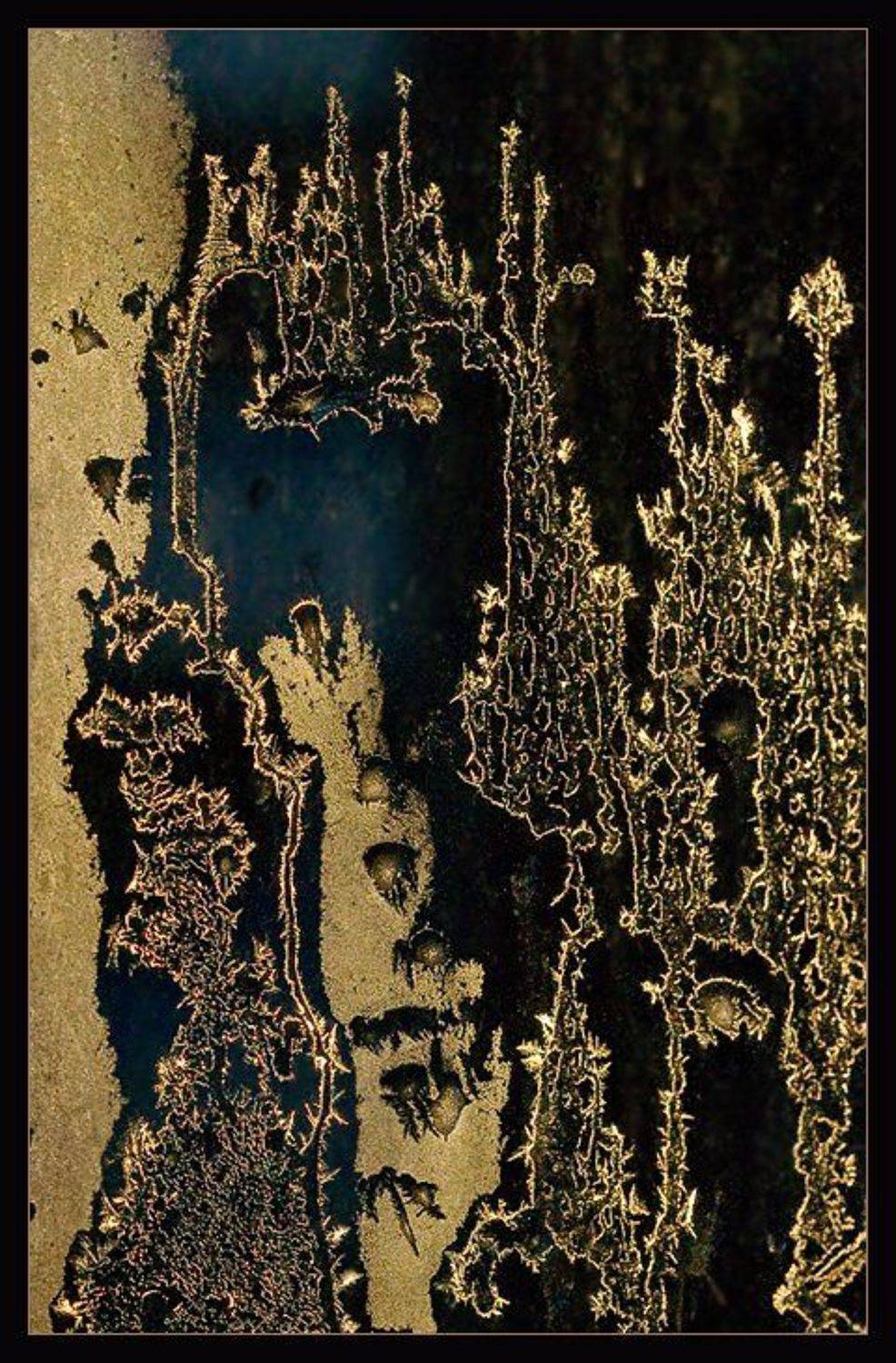 FrostBook (5). Автор: Basil G , Basil G