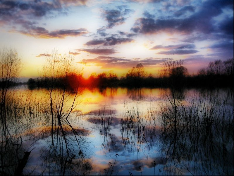 в ожидании весны фото превью