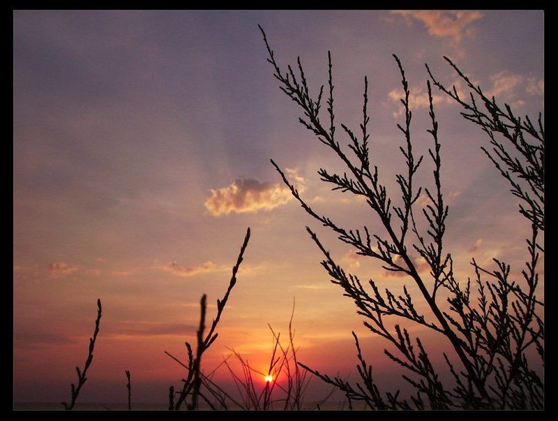 Бусинкаphoto preview