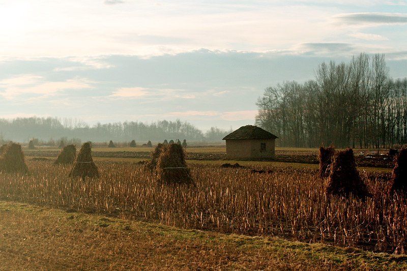 сербия, поля, сено Сербия #2photo preview