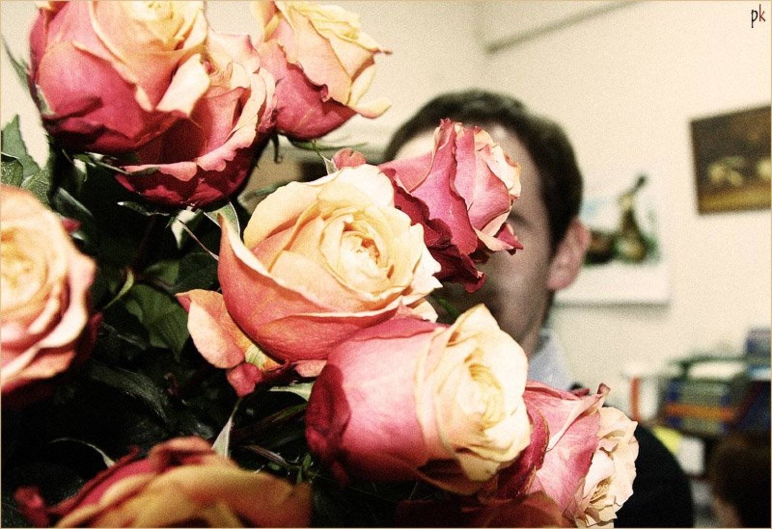 roses, розы, романтика, цвета, koniae'ff