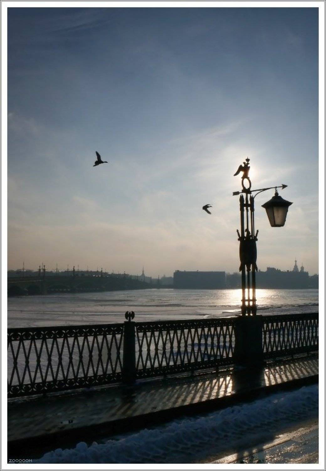 петербург полдень фонарь, Алексей (zooooom)