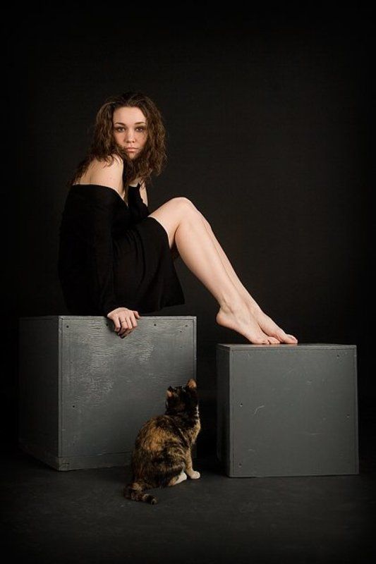 две,кошки Кошки...photo preview