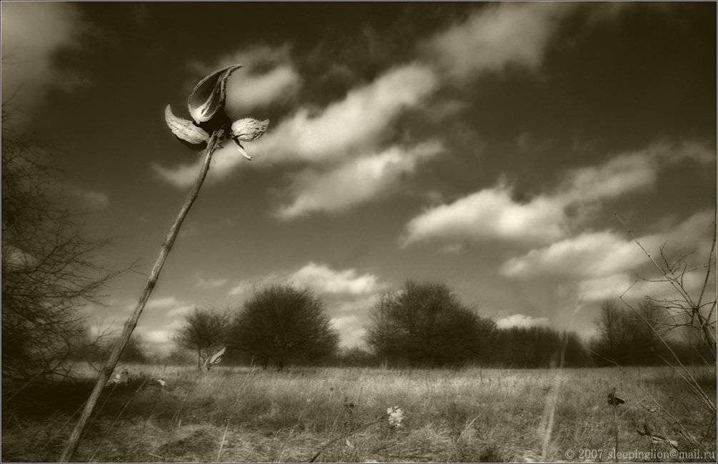 Staying still. Автор: Pilgrim пейзаж, зима, pilgrim, пленка, 35 мм, canon eos 10s, Pilgrim
