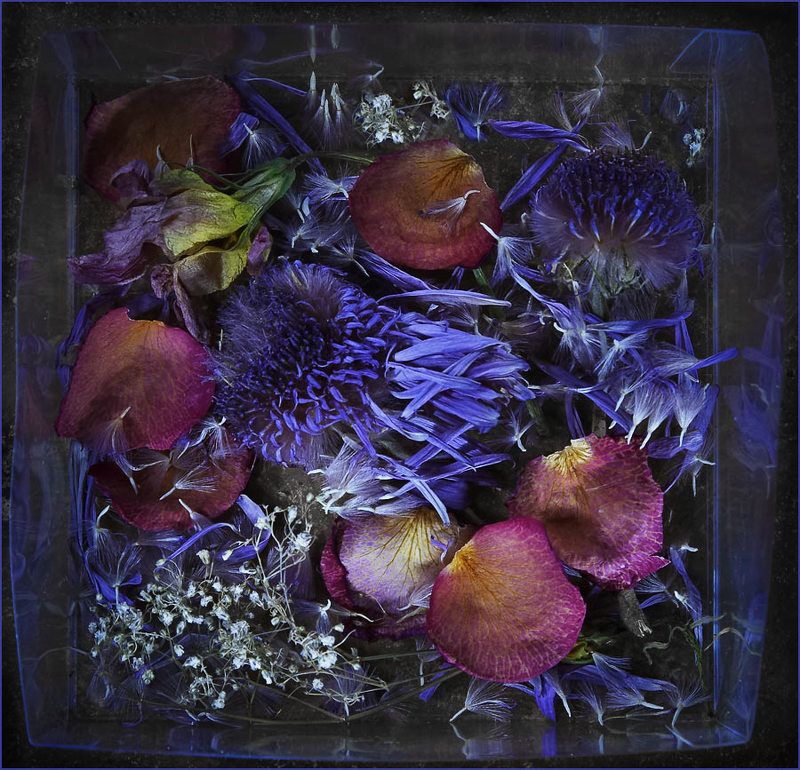 Высохшие чувства фото превью