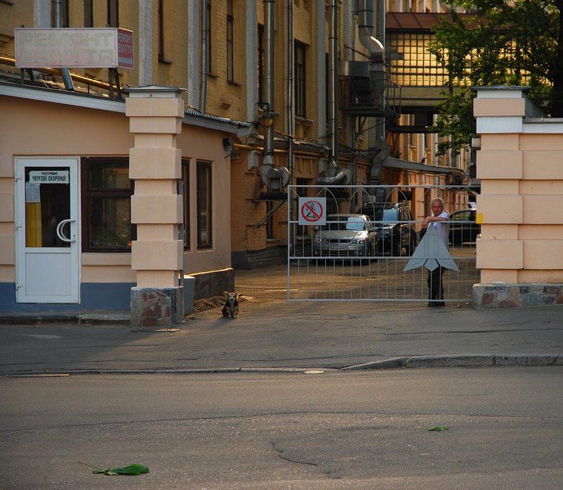 ;fyh? ujhjl Дневной дозорphoto preview