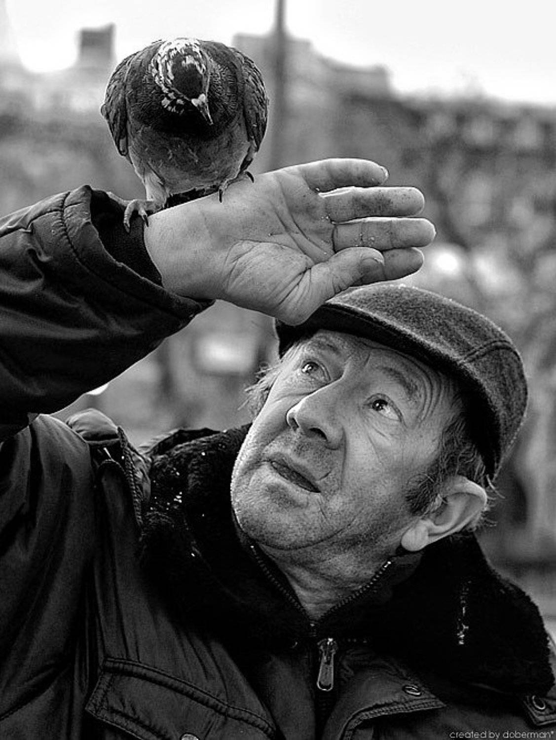 Понимаешь?. Автор: Денис Богомолов , Денис Богомолов