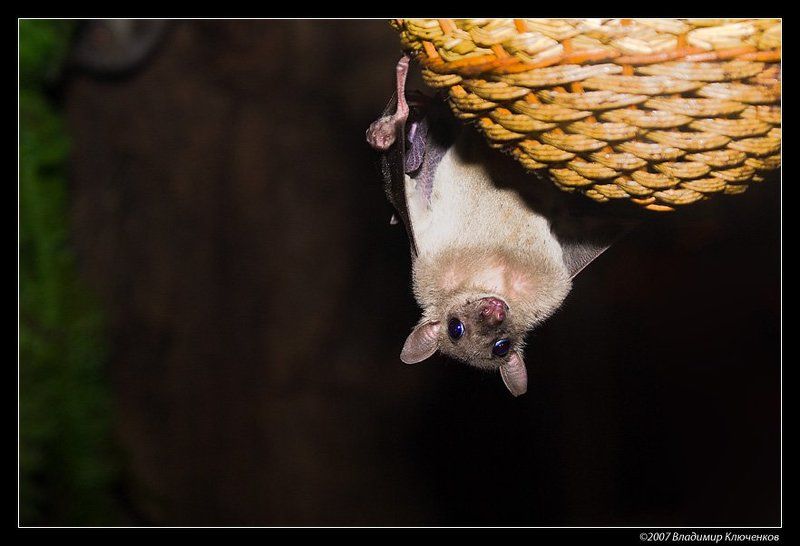 Точка зренияphoto preview