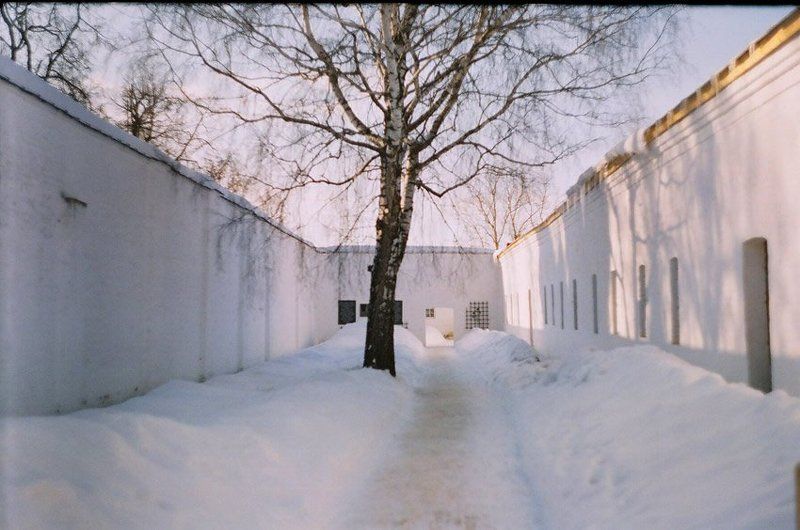 kamushek, helios, пленка, зенит-122 ***photo preview